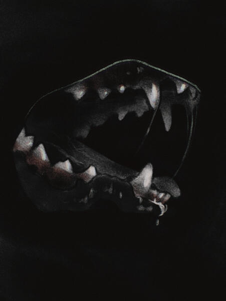 Untitled Untitled